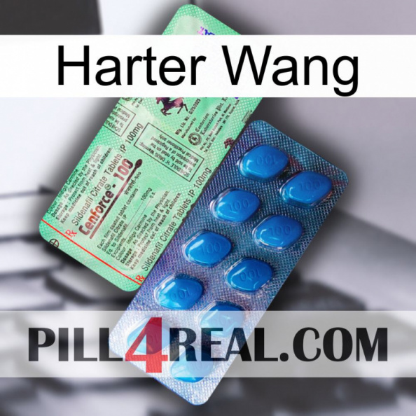 Hard Wang new02